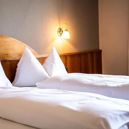 Panoramahotel Penegal 호텔 3*