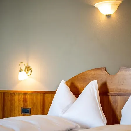 호텔 Panoramahotel Penegal